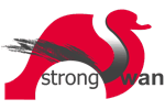 strongSwan VPN logo